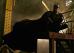 Christian Bale as Batman in Warner Bros. Pictures' Batman Begins - 2005   