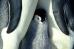 Warner Independent Pictures' March of the Penguins - 2005