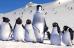 Mumble (voiced by Elijah Wood) in Warner Bros. Pictures' Happy Feet - 2006