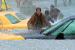 Jake Gyllenhaal on the flooded streets of New York City in 20th Century Fox's The Day After Tomorrow - 2004