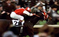 The down-and-out race horse Seabiscuit takes three men on the ride of a lifetime in Universal's Seabiscuit - 2003