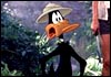 Daffy Duck in Looney Tunes: Back In Action